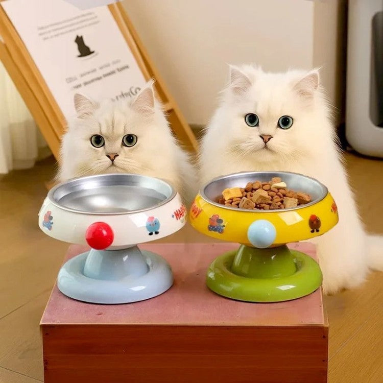 Pet Feeding Bowl