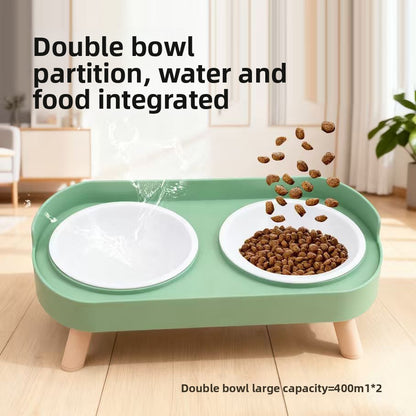 Pet Feeding Bowl