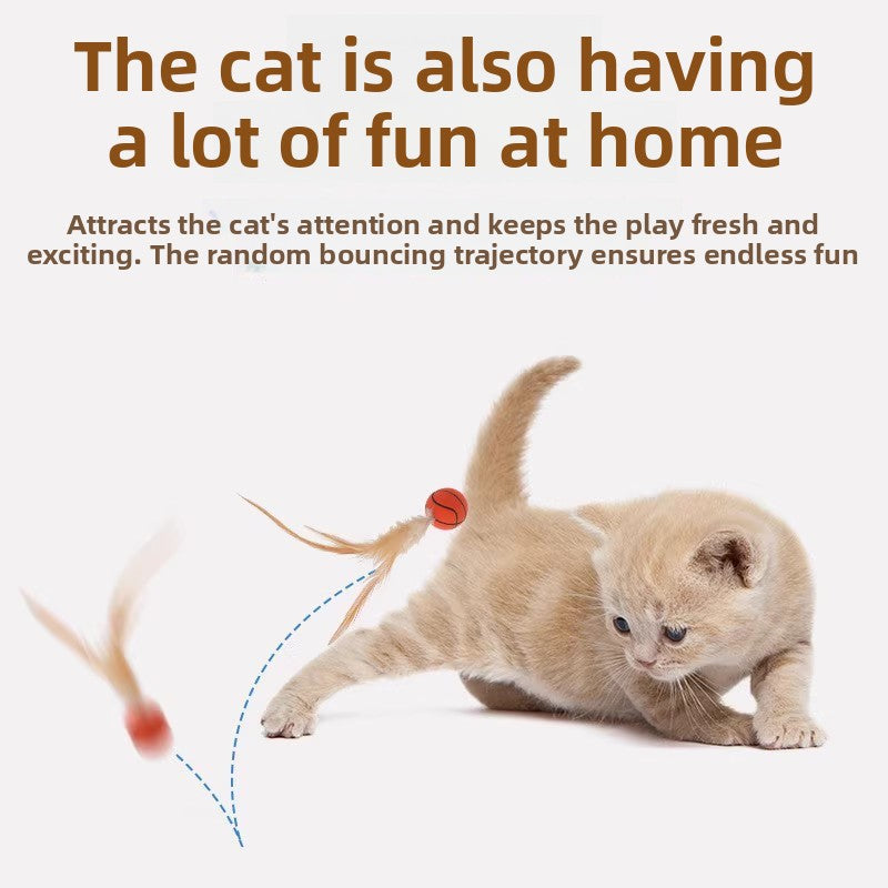 Feather Bouncing Ball Cat Toy