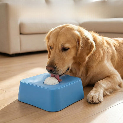 Pet Fun Licking Slow Feeding Bowl