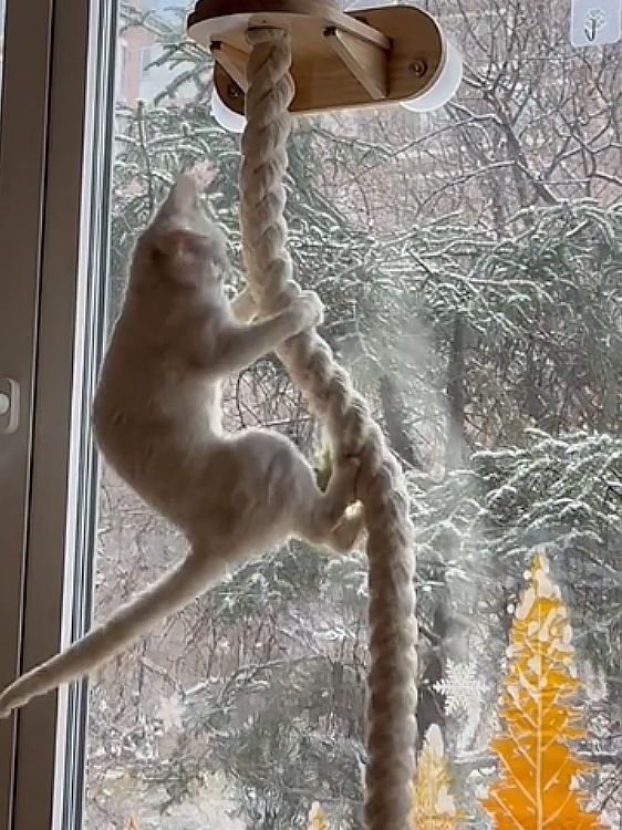 Sucker Cat Climbing Rope Coarse Hemp Rope Cotton Rope Cat Climbing Rack