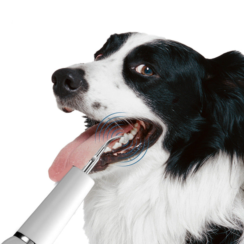 Professional Pet Dental Cleaning Kit
