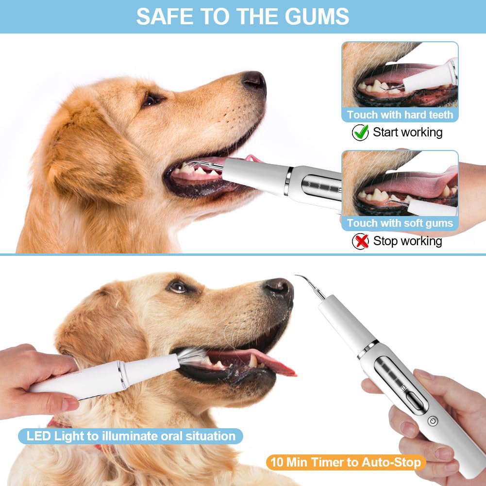 Professional Pet Dental Cleaning Kit