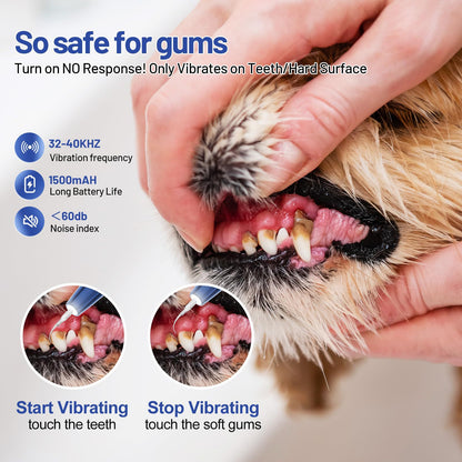 Professional Pet Dental Cleaning Kit