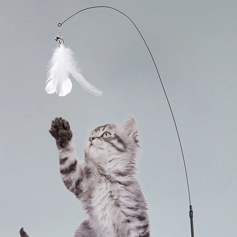 Interactive Feather Wand Cat Toy Set