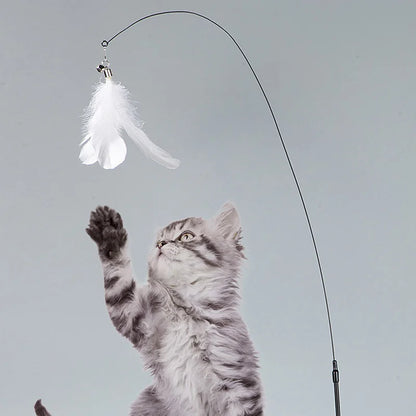 Interactive Feather Wand Cat Toy Set