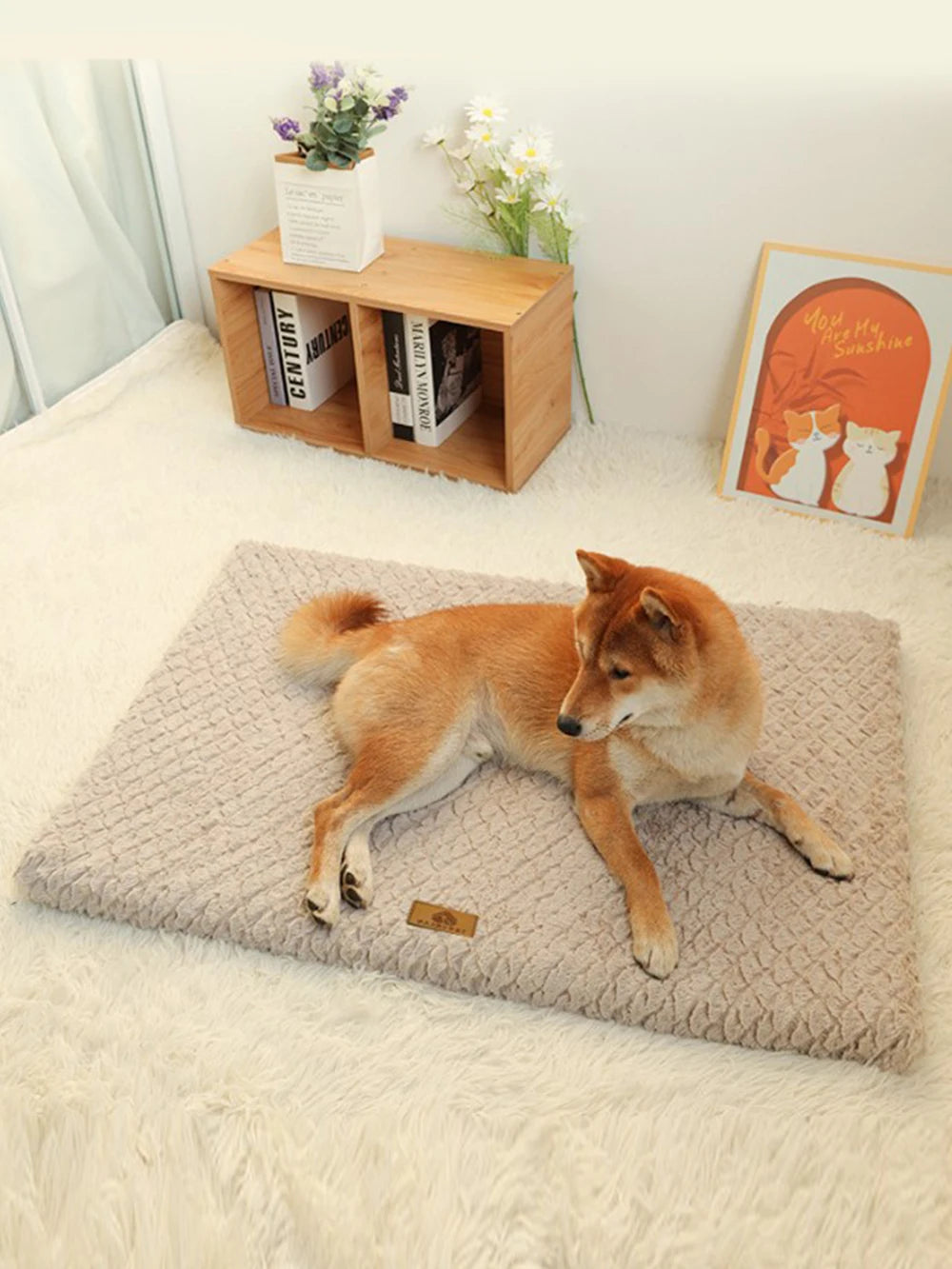 Ultra Soft Plush Dog Sofa Bed