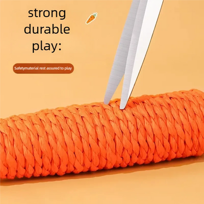 Carrot Cat Chew & Teething Toy