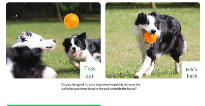 Interactive Squeaky Dog Ball Toy