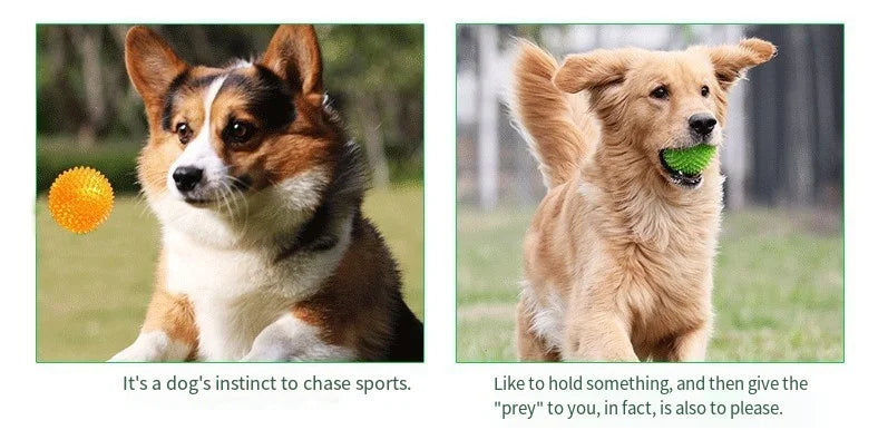 Interactive Squeaky Dog Ball Toy