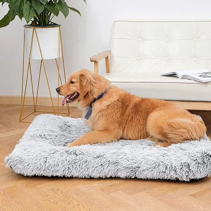 Washable Plush Dog Bed