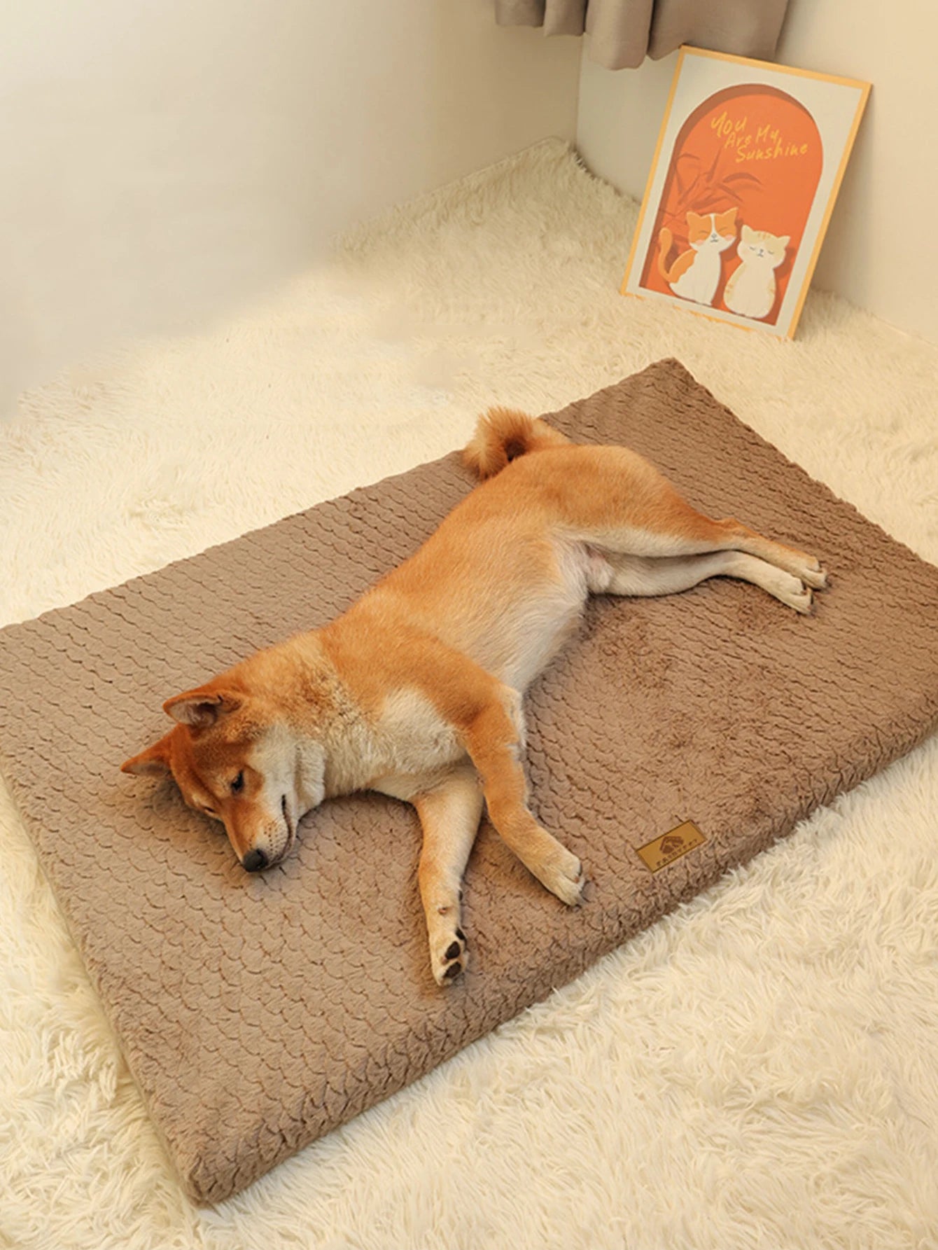 Ultra Soft Plush Dog Sofa Bed