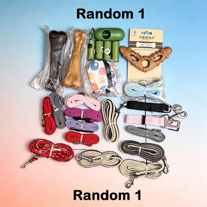 Foldable Travel Pet Food & Water Bowl
