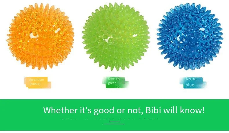 Interactive Squeaky Dog Ball Toy