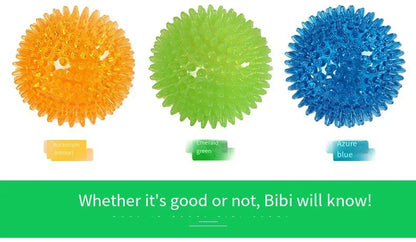 Interactive Squeaky Dog Ball Toy