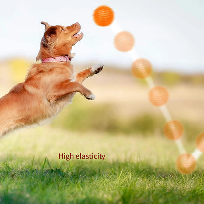 Interactive Squeaky Dog Ball Toy