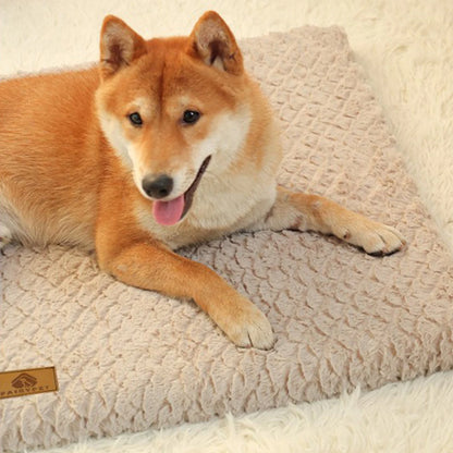 Ultra Soft Plush Dog Sofa Bed