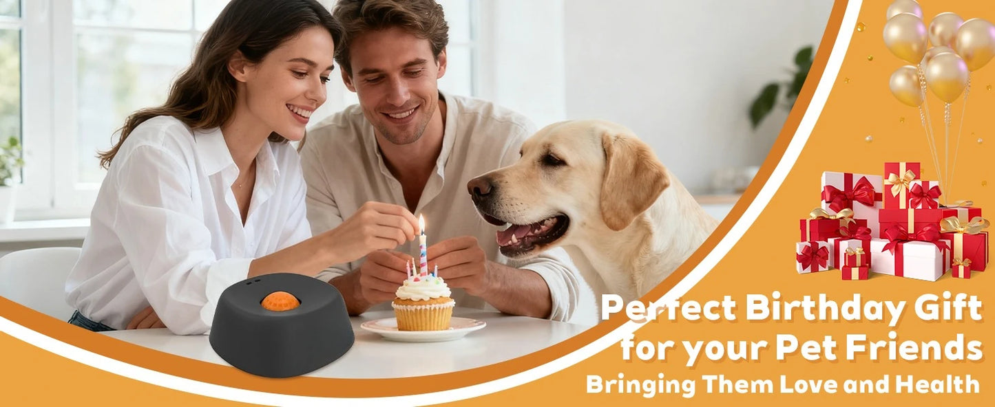 Slow Drinking Anti-Splash Dog Water Bowl