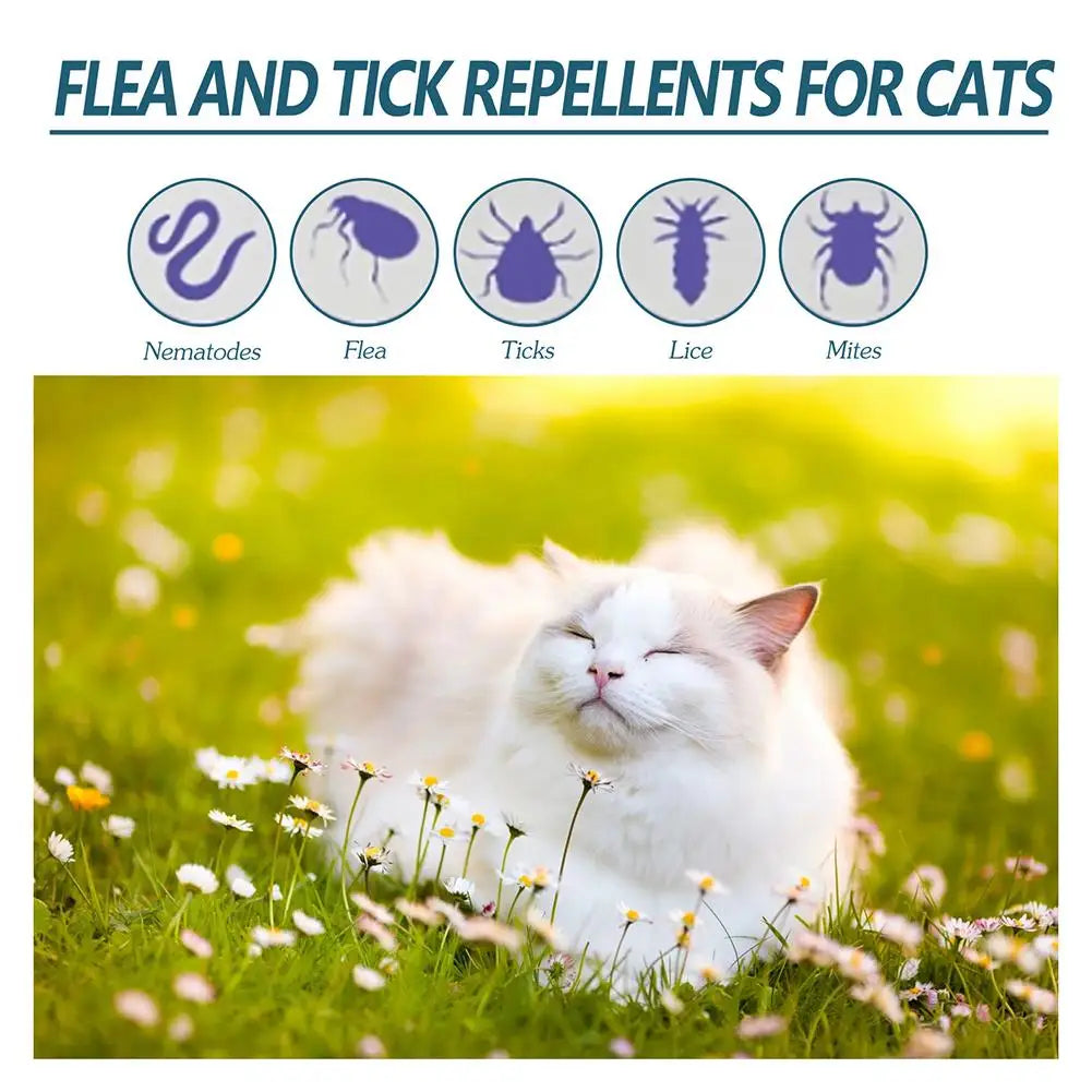 Natural Flea & Tick Protection Spray