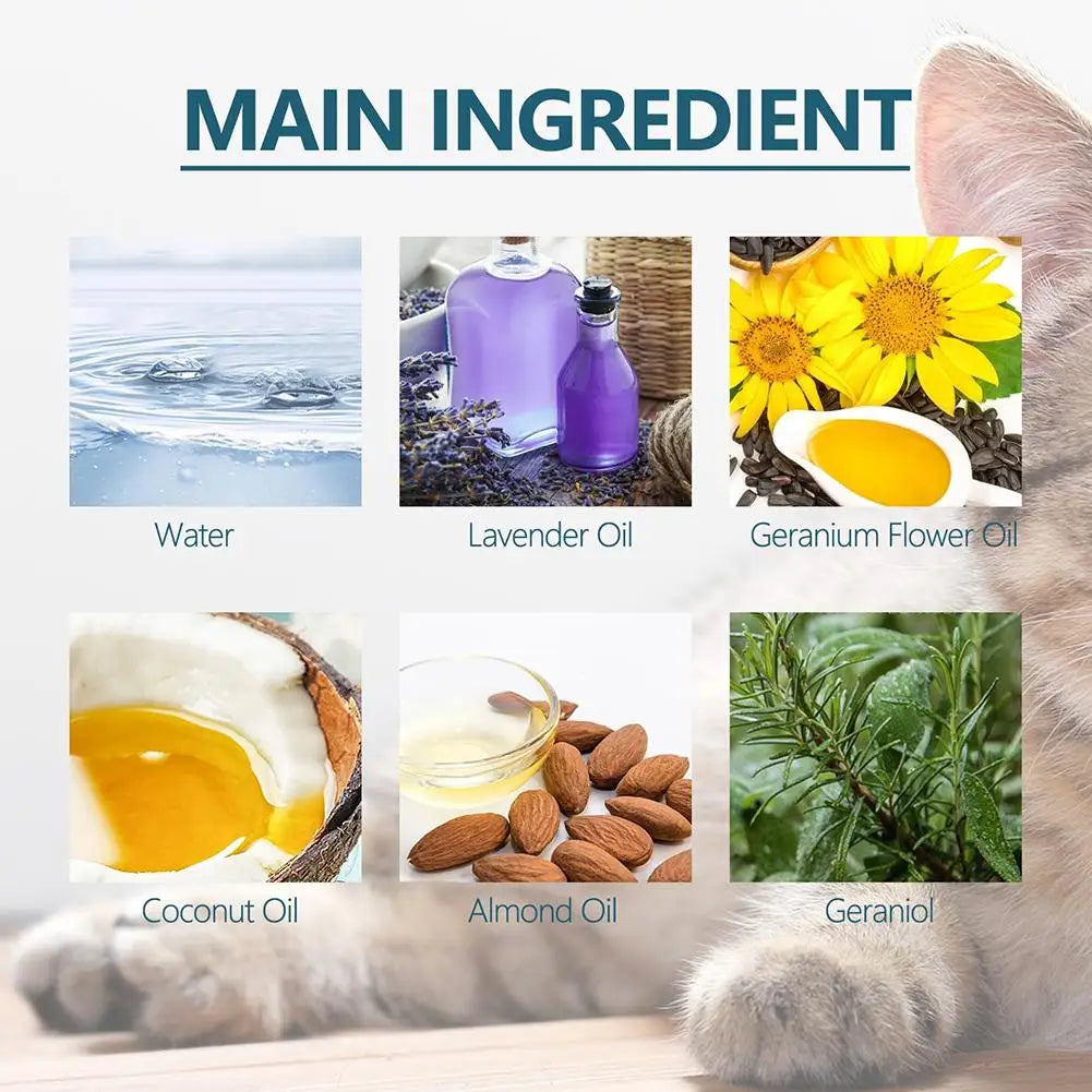 Natural Flea & Tick Protection Spray