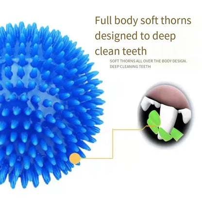 Interactive Squeaky Dog Ball Toy