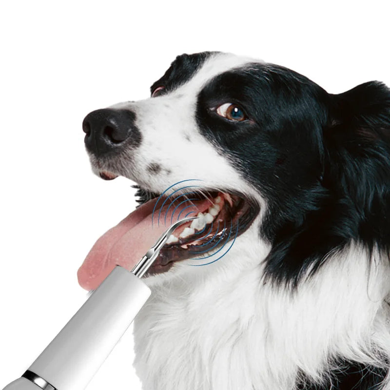 Professional Pet Dental Cleaning Kit