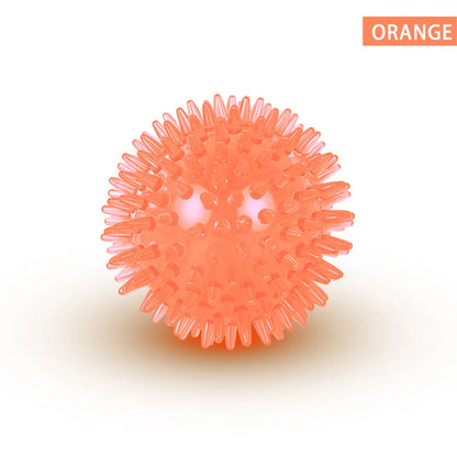 Interactive Squeaky Dog Ball Toy