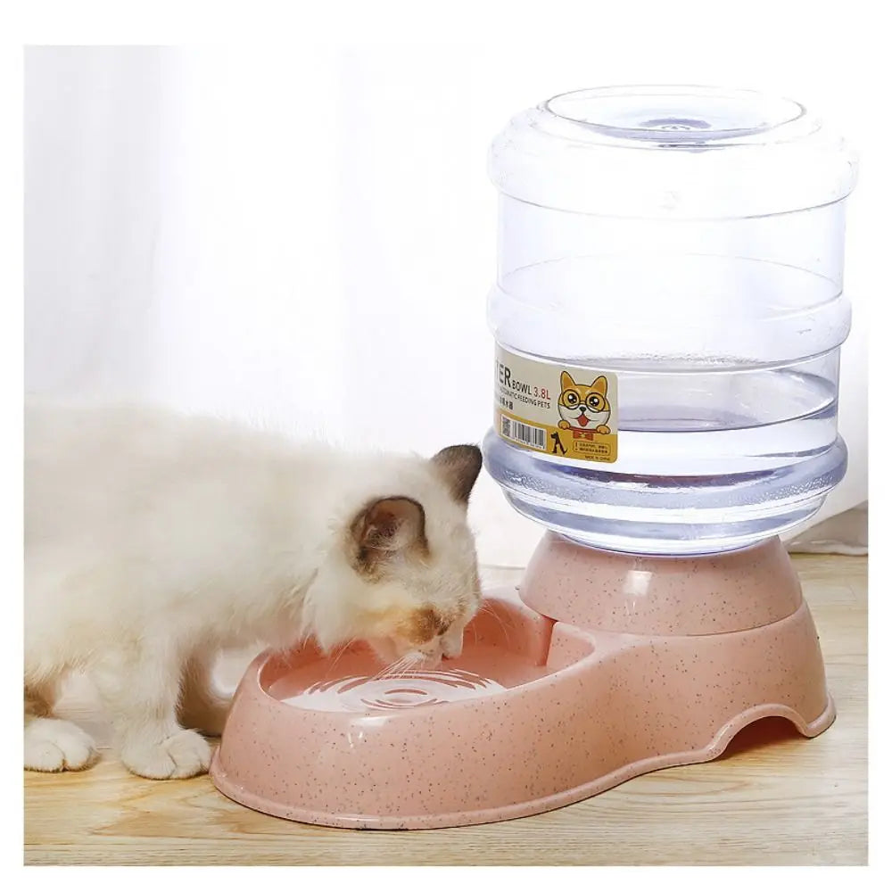 3.8L Automatic Pet Food & Water Dispenser