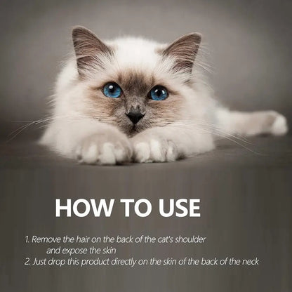 Natural Flea & Tick Protection Spray