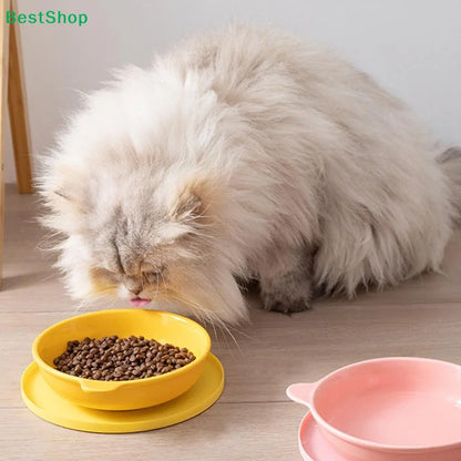 Waterproof Silicone Pet Feeding Mat