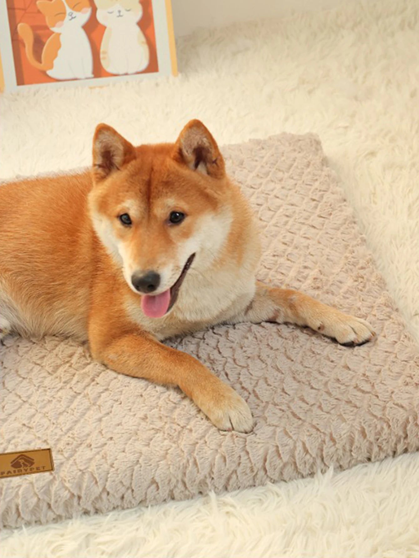 Ultra Soft Plush Dog Sofa Bed