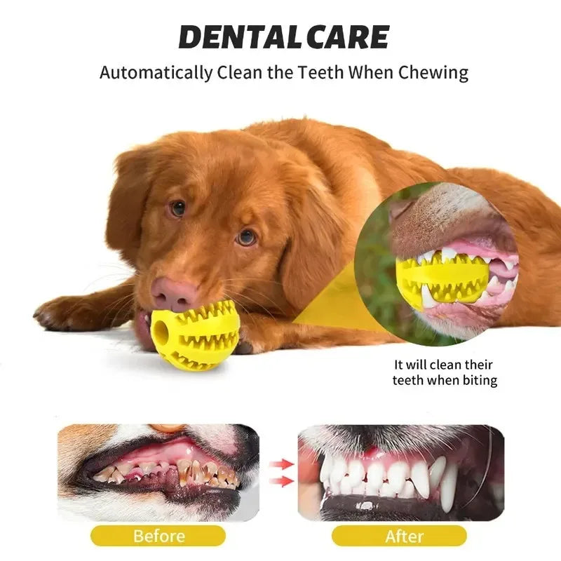Interactive Treat Dispensing Dog Ball