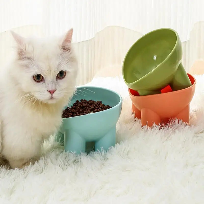 Elevated Tilted Cat Feeding Bowl