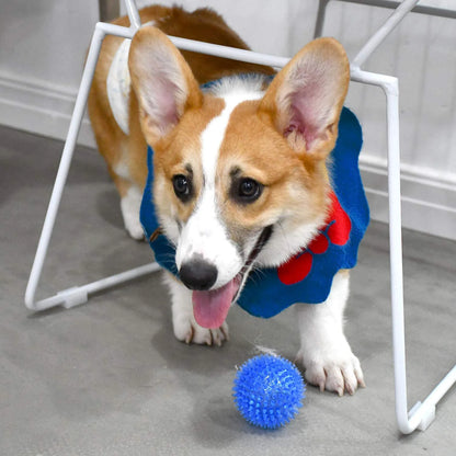 Interactive Squeaky Dog Ball Toy