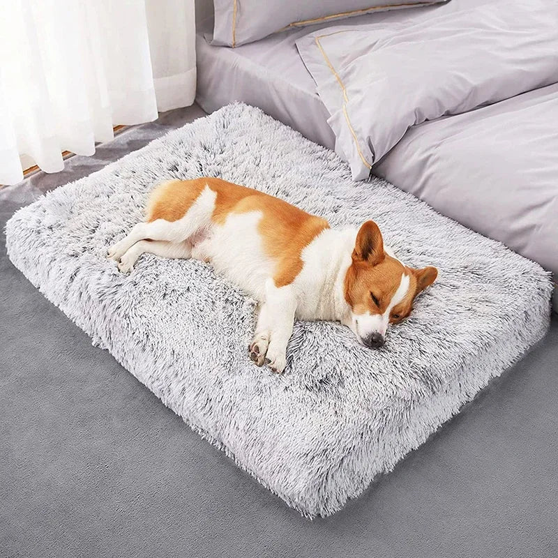 Washable Plush Dog Bed