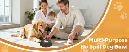 Slow Drinking Anti-Splash Dog Water Bowl