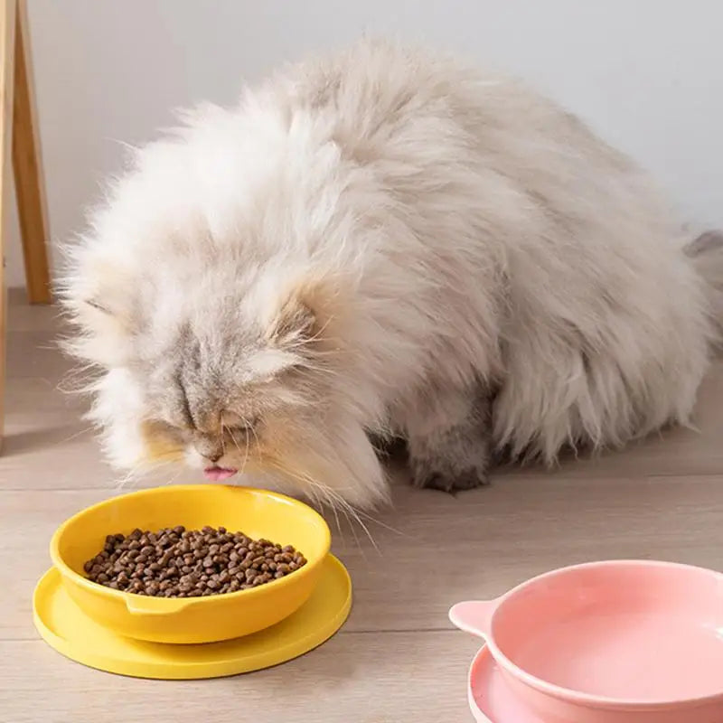 Waterproof Silicone Pet Feeding Mat