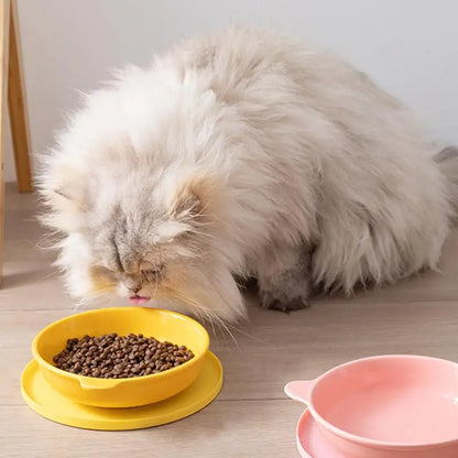 Waterproof Silicone Pet Feeding Mat