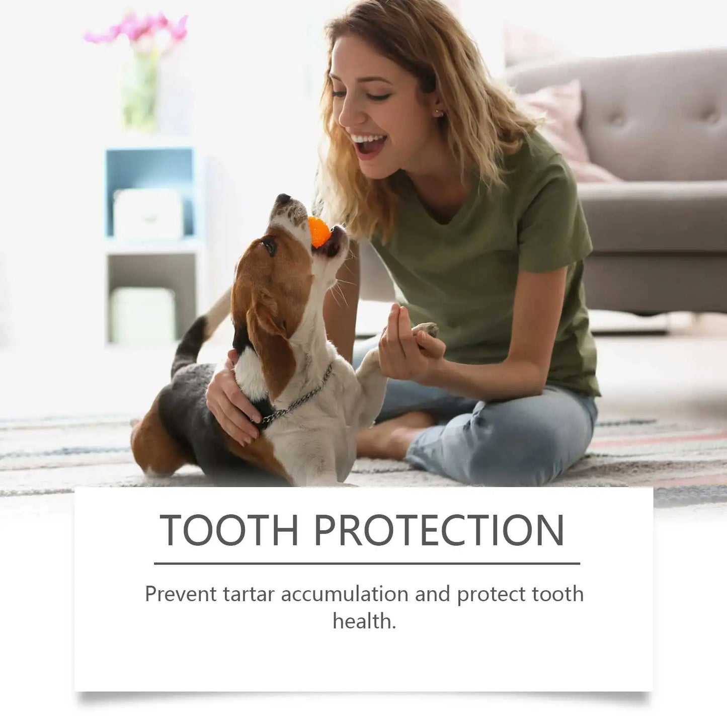 Fresh Breath Pet Dental Mouthwash