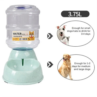 3.8L Automatic Pet Food & Water Dispenser