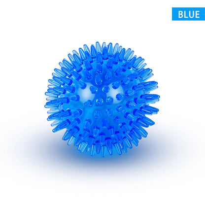 Interactive Squeaky Dog Ball Toy