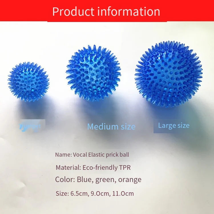 Interactive Squeaky Dog Ball Toy
