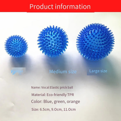 Interactive Squeaky Dog Ball Toy