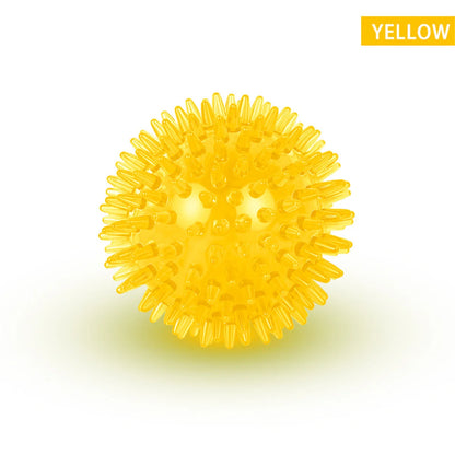 Interactive Squeaky Dog Ball Toy
