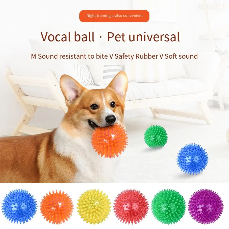 Interactive Squeaky Dog Ball Toy