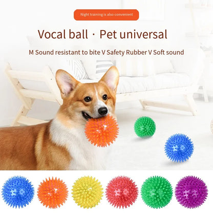 Interactive Squeaky Dog Ball Toy