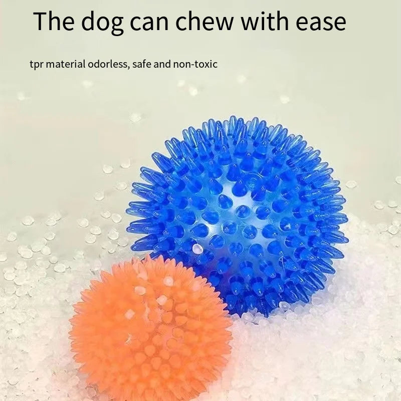 Interactive Squeaky Dog Ball Toy