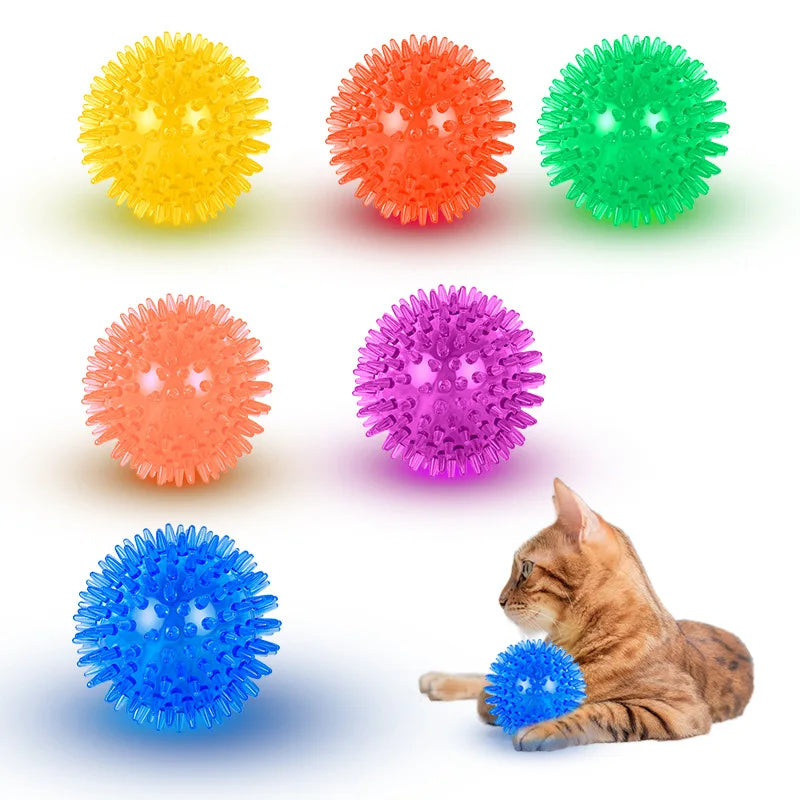 Interactive Squeaky Dog Ball Toy