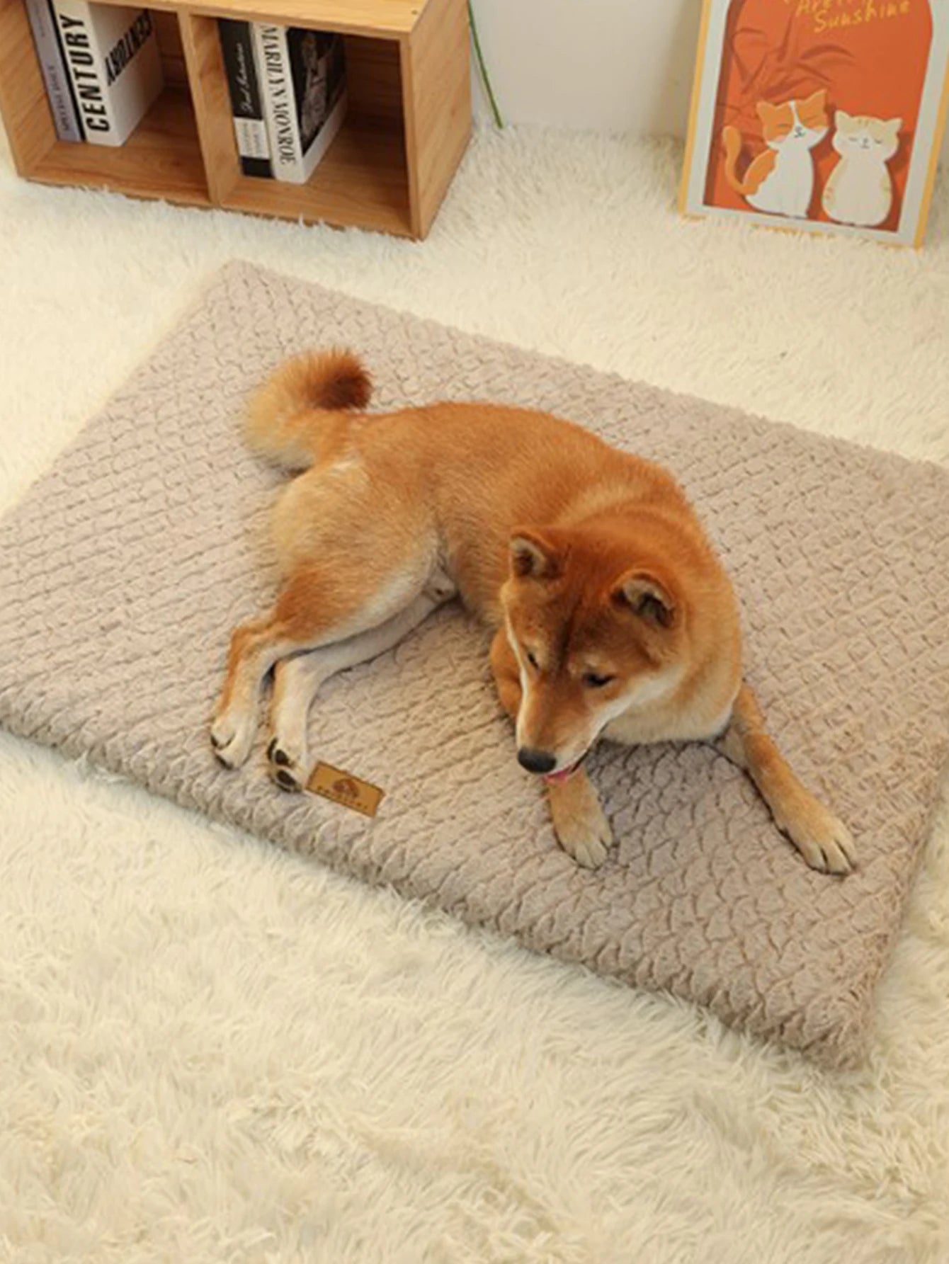 Ultra Soft Plush Dog Sofa Bed