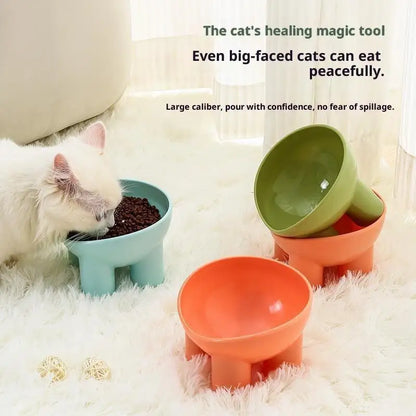 Elevated Tilted Cat Feeding Bowl